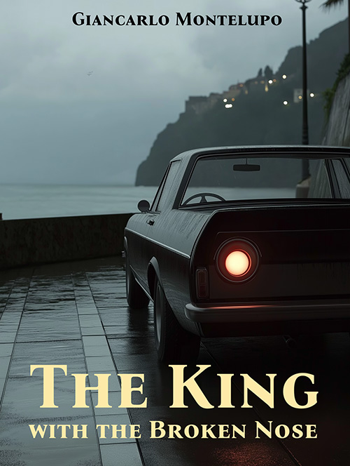 Copertina del libro